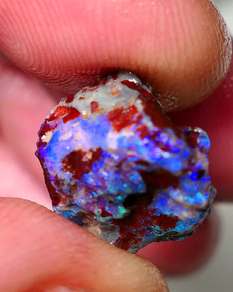 Lightning Ridge Rough Opal 7.75cts Dark Base Gamble Knobby formation Gorgeous blue fires 14x14x9mm Auction NS106