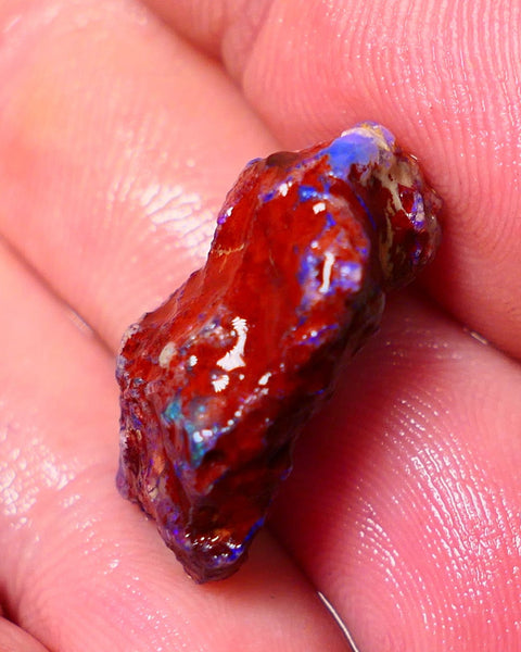 Lightning Ridge Rough Opal 13.50cts Dark Base Gamble Knobby formation Nice blue fires 22x14x8mm Auction NS102