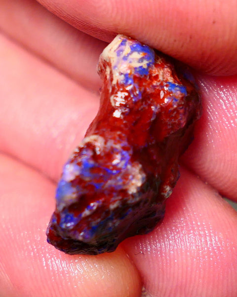 Lightning Ridge Rough Opal 13.50cts Dark Base Gamble Knobby formation Nice blue fires 22x14x8mm Auction NS102