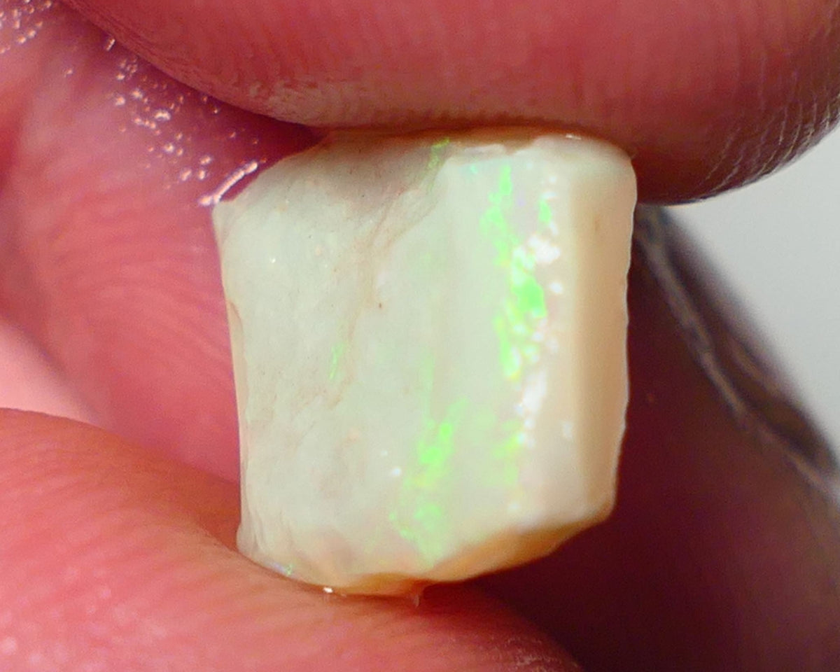 Lightning Ridge Rough Opal 3.50cts Grey/Dark Base Seam Gorgeous bar to cut with Bright Yellow/Green Dominant  Multi colour fires 11x11x3.5mm NS138