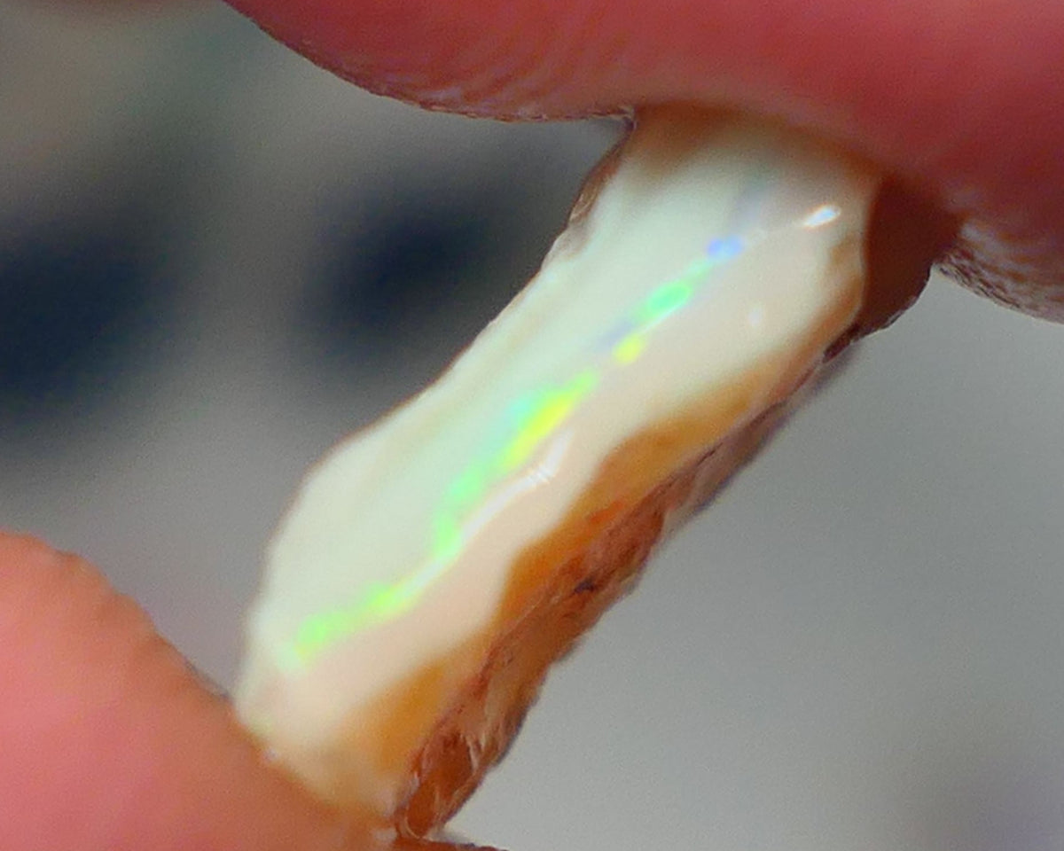 Lightning Ridge Rough Opal 3.50cts Grey/Dark Base Seam Gorgeous bar to cut with Bright Yellow/Green Dominant  Multi colour fires 11x11x3.5mm NS138