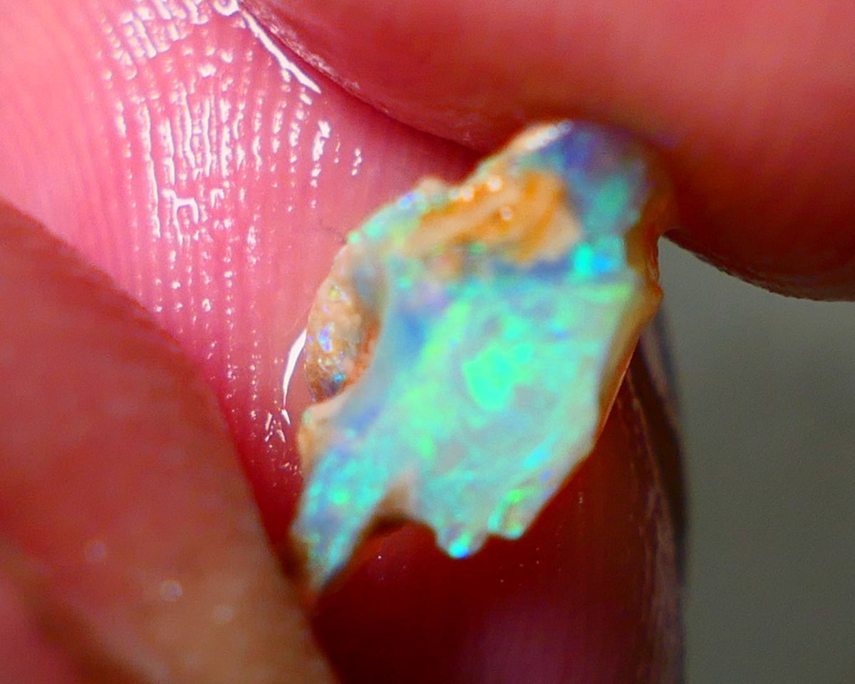 Lightning Ridge Rough Opal 2.15cts Crystal Seam rough with Gorgeous Gemmy Multicolours to explore 12x7x6mm NS172