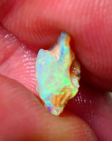 Lightning Ridge Rough Opal 2.15cts Crystal Seam rough with Gorgeous Gemmy Multicolours to explore 12x7x6mm NS172