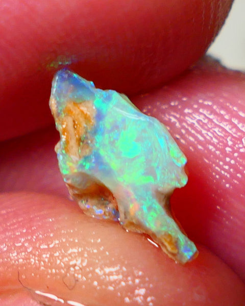 Lightning Ridge Rough Opal 2.15cts Crystal Seam rough with Gorgeous Gemmy Multicolours to explore 12x7x6mm NS172