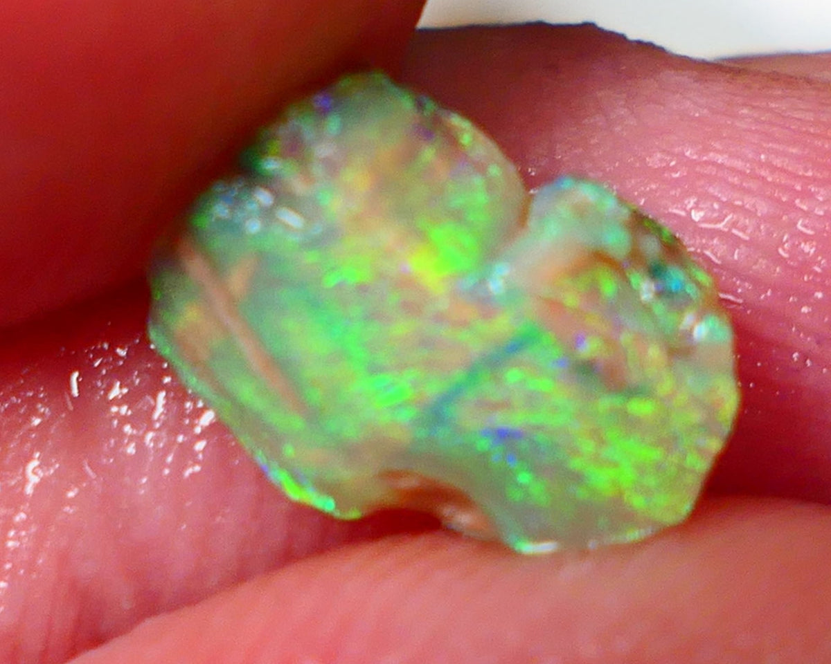 Opalised fossil Stunning Multi colour 1.30cts Rub rough Lightning Ridge 10x8x3mm NSW025