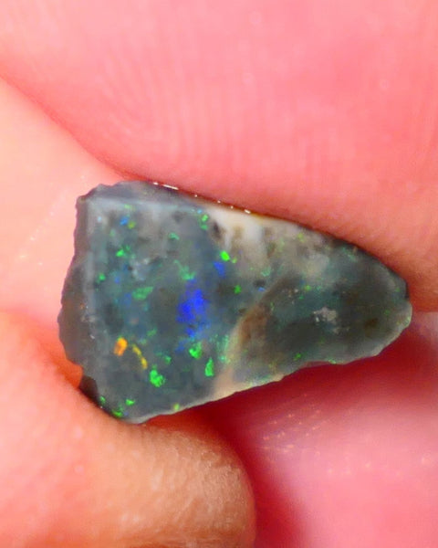 Lightning Ridge Rough / Rub Seam opal Miners Bench® 1.60cts Multicolour Flashes of Confetti  12x8x2mm AUCTION NS166