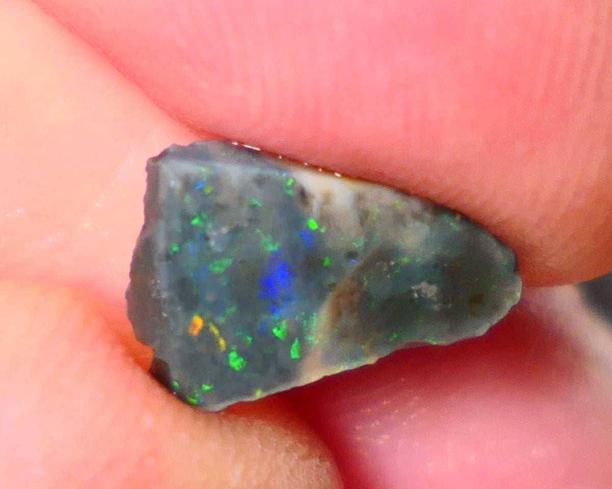 Lightning Ridge Rough / Rub Seam opal Miners Bench® 1.60cts Multicolour Flashes of Confetti  12x8x2mm AUCTION NS166