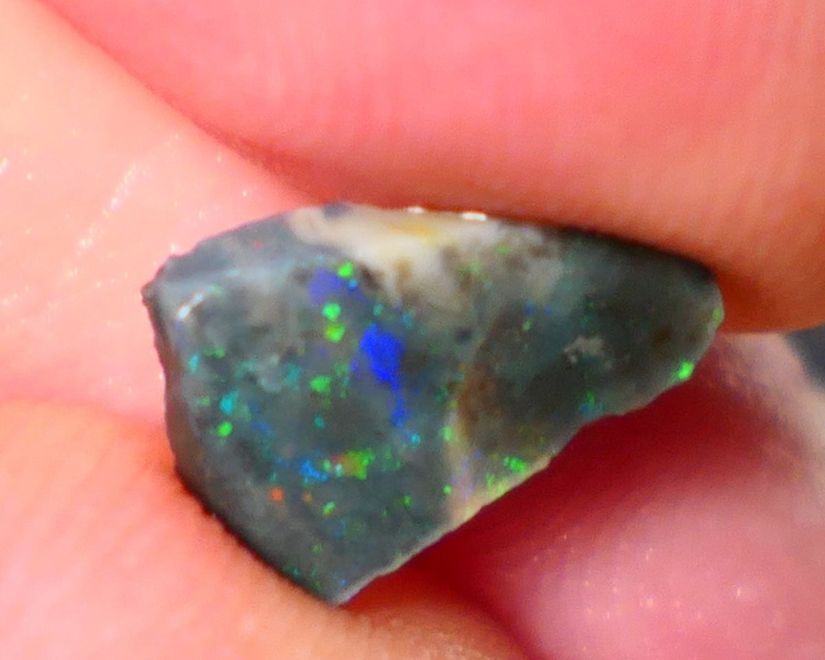 Lightning Ridge Rough / Rub Seam opal Miners Bench® 1.60cts Multicolour Flashes of Confetti  12x8x2mm AUCTION NS166