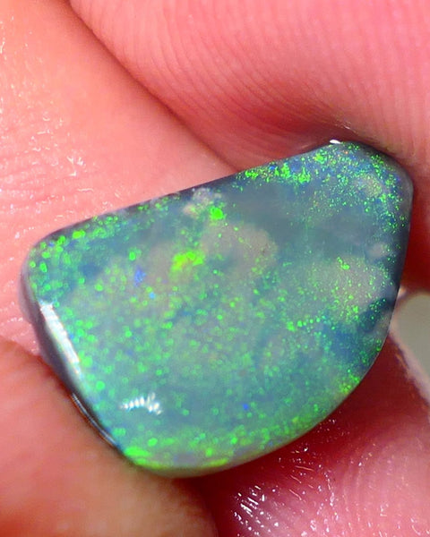 Lightning Ridge Opal Big Picture stone Rough/Rub Dark Base From the Miners Bench® 4.50cts Lovely Yellow/Green dominant multifires 16x10x3mm NS195