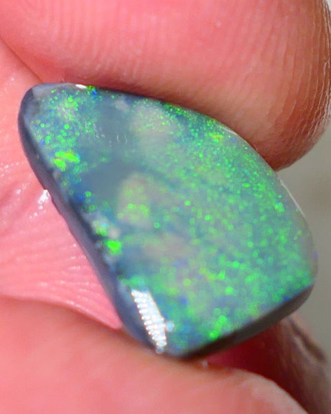 Lightning Ridge Opal Big Picture stone Rough/Rub Dark Base From the Miners Bench® 4.50cts Lovely Yellow/Green dominant multifires 16x10x3mm NS195