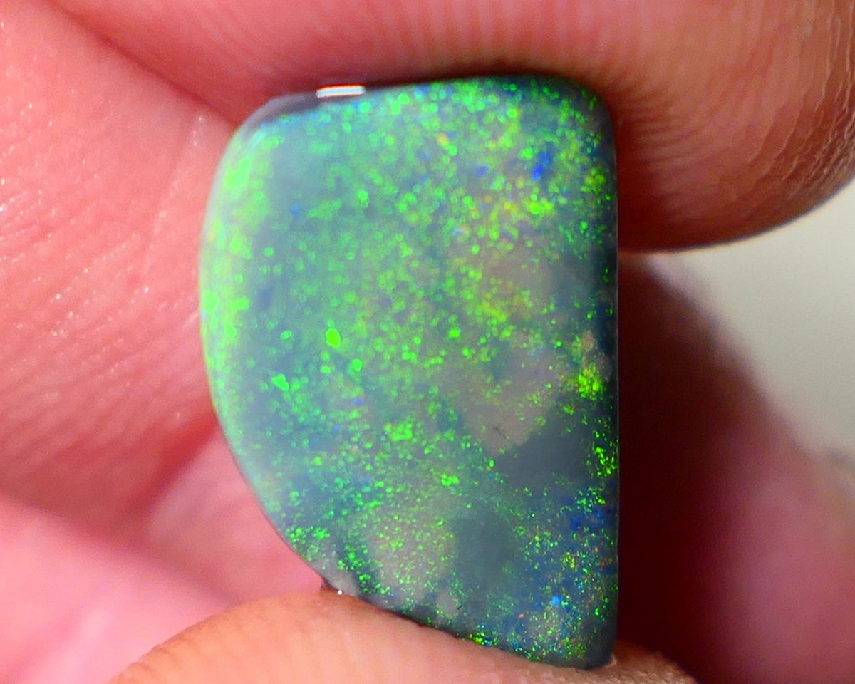 Lightning Ridge Opal Big Picture stone Rough/Rub Dark Base From the Miners Bench® 4.50cts Lovely Yellow/Green dominant multifires 16x10x3mm NS195