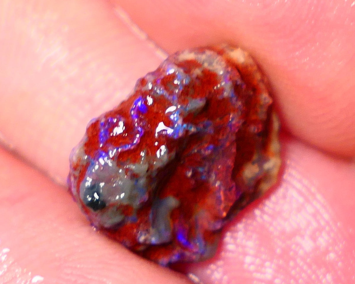 Lightning Ridge Rough Opal 4.50cts Dark Base Gamble Knobby formation Gorgeous blue fires 15x11x5mm NS192