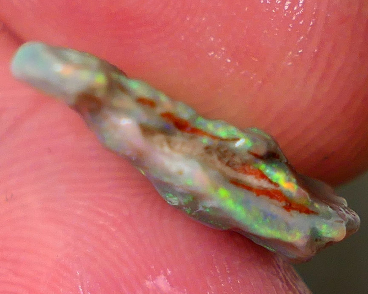 Mulga Rough Opal 5.00cts Dark Base Seam Nice Yellow/Orange Dominant M.fires to Cut / carve & polish 18x14x3mm NSW031