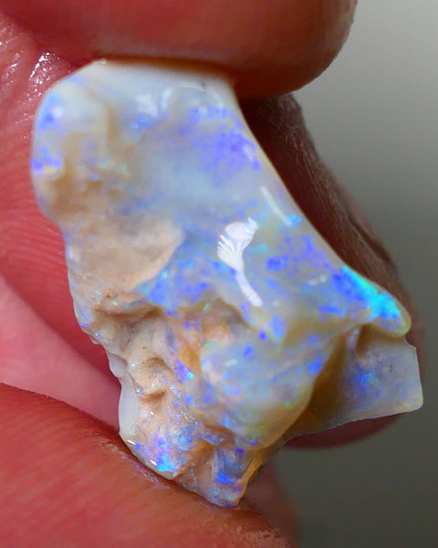 Lightning Ridge Rough Opal 11.25cts Light base Seam showing lots Nice blue colours 21x14x9mm NS180