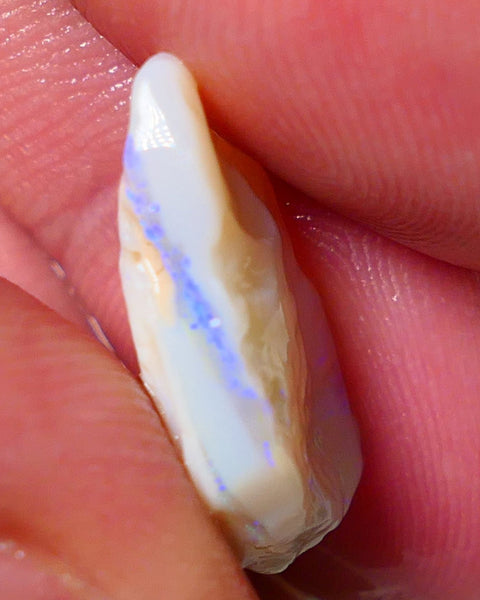 Lightning Ridge Rough Opal 8.00cts Light base Seam showing Nice blue colours 21x14x5mm NS179