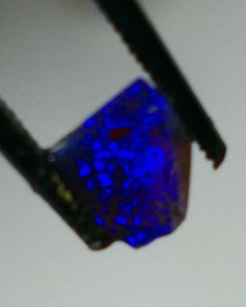 Mulga® Bright Royal Blue dominant fires on Black Opal Rough Rub Miners Bench® 0.50cts Gorgeous face 6x5x2mm NS216