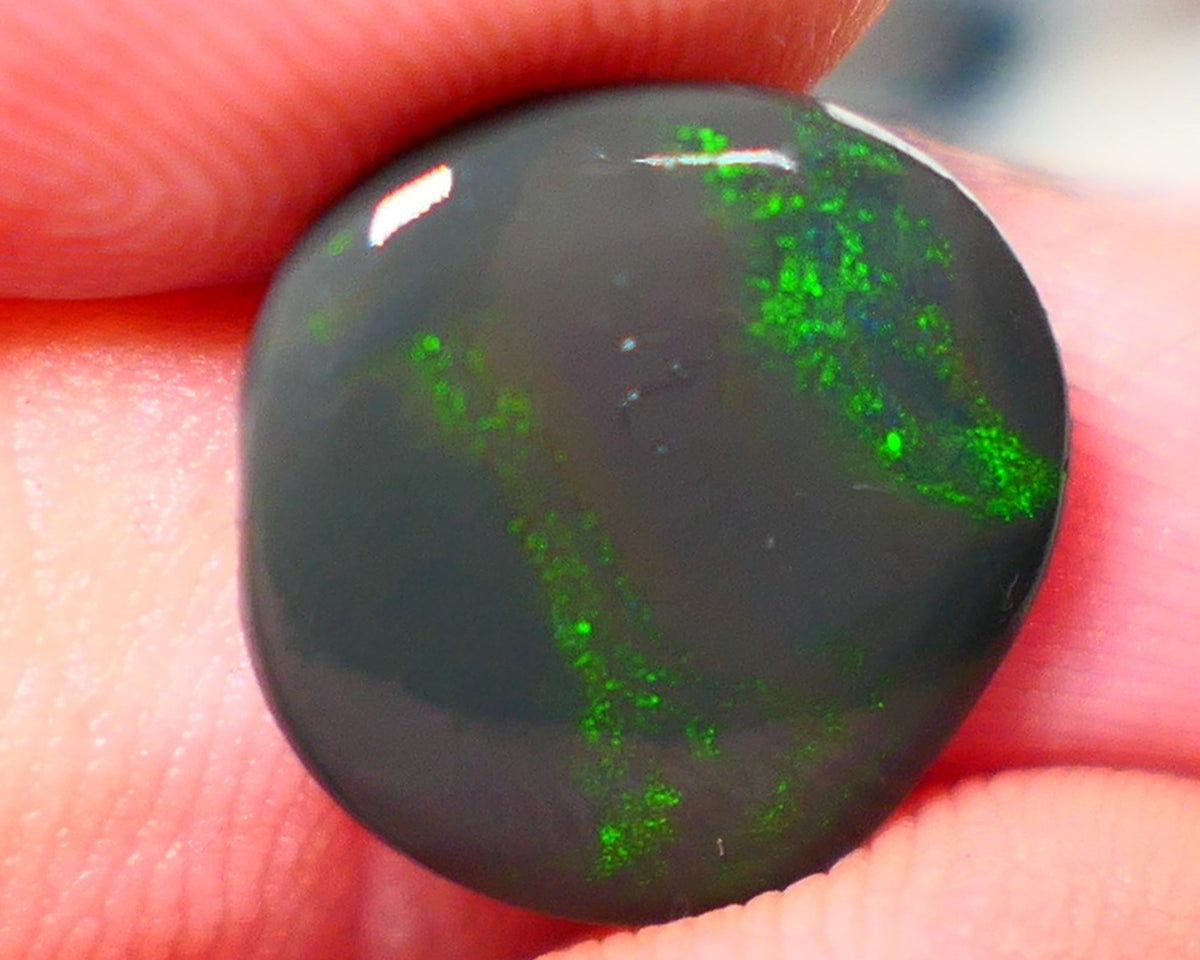 Lightning Ridge Rough / Rub Seam opal Miners Bench® 3.80cts Greens on Black 14x13x2.5mm NS203