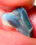 Mulga Rough Opal Gamble 2.20cts Dark Base Seam Green Dominant fires to Cut / carve & polish 14x11x4mm NS202