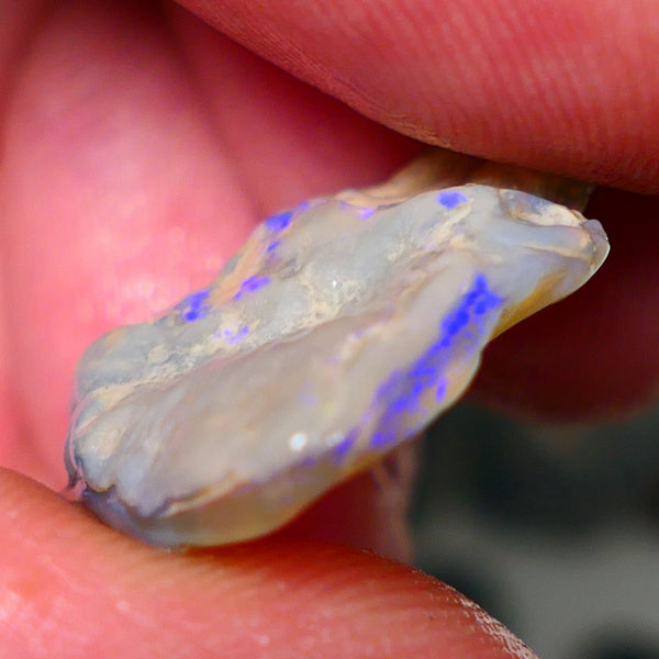 Lightning Ridge Rough Opal 13.00cts Seam Grey base Nice Blue fires in the bar 24x21x5mm NS214