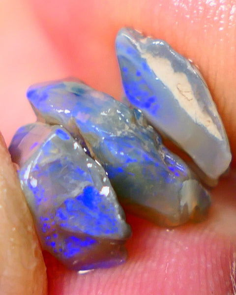 Lightning Ridge Rough Opal 6.25cts Small Seam Stack Dark base Gorgeous Blue fires in the bars 11x8x4mm to 8x6x4mm NS212