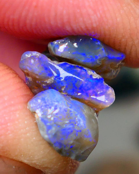 Lightning Ridge Rough Opal 6.25cts Small Seam Stack Dark base Gorgeous Blue fires in the bars 11x8x4mm to 8x6x4mm NS212