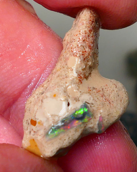 Mulga Rough Opal Seam formation 12.00cts Collectors Gorgeous Yellow dominant Multifires showing on opal deposit 28x15x7mm RL011