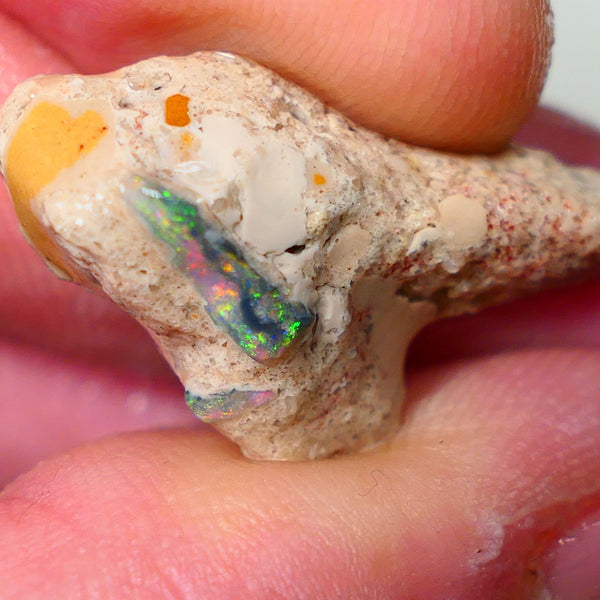 Mulga Rough Opal Seam formation 12.00cts Collectors Gorgeous Yellow dominant Multifires showing on opal deposit 28x15x7mm RL011