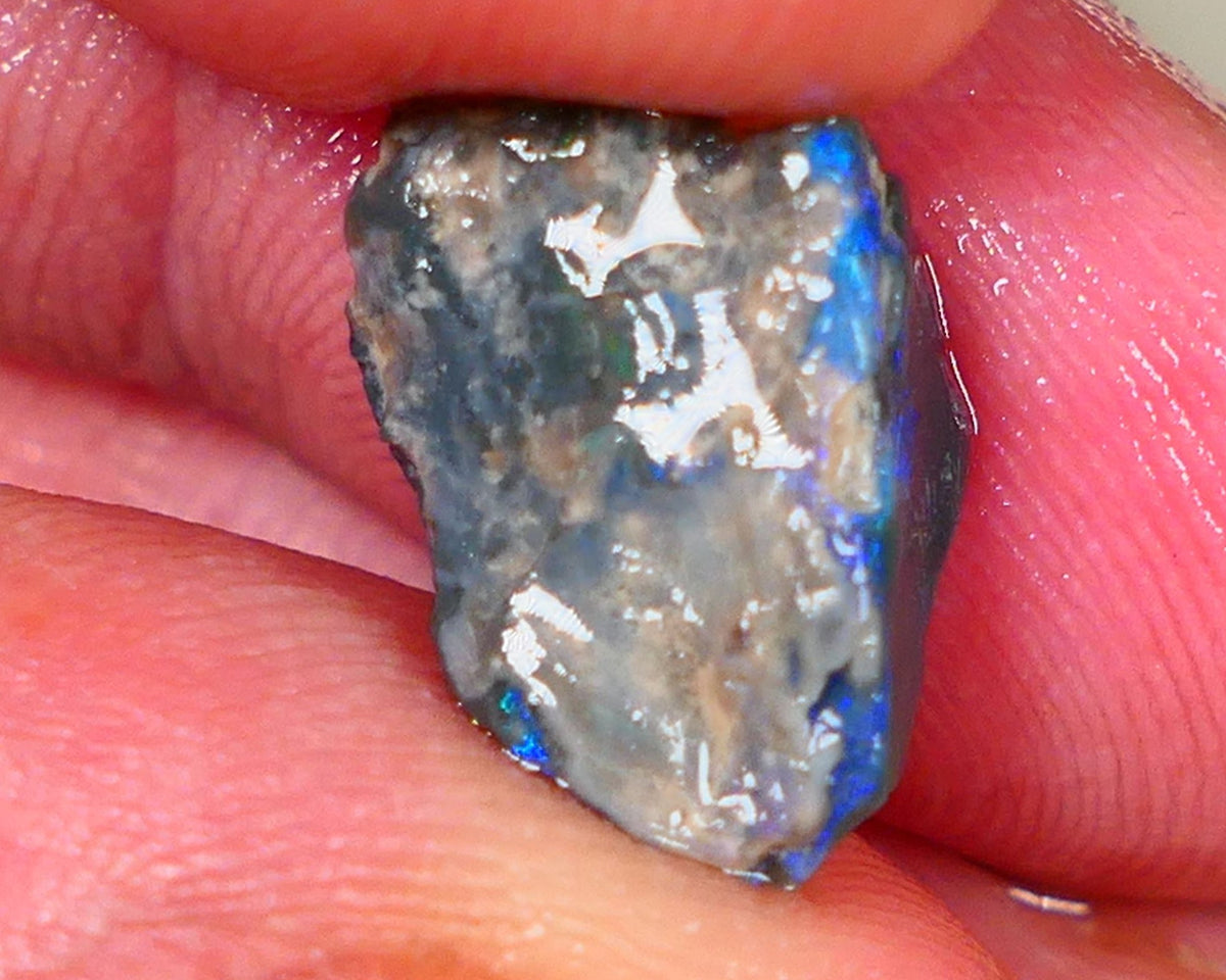 Lightning Ridge Rough Opal 3.75cts Dark Base Knobby Gorgeous Blue Bar to gamble 15x9x5mm RL007