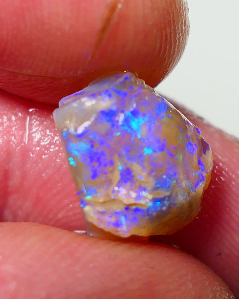 Lightning Ridge Rough Opal 4.00cts Crystal Base Gamble Knobby formation Gorgeous blue & Green fires 12x10x6mm NS305