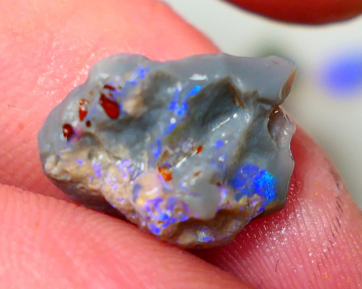 Lightning Ridge Rough Opal 5.25cts Dark Base Knobby Bright Blue Bar to gamble 16x13x7mm NS323