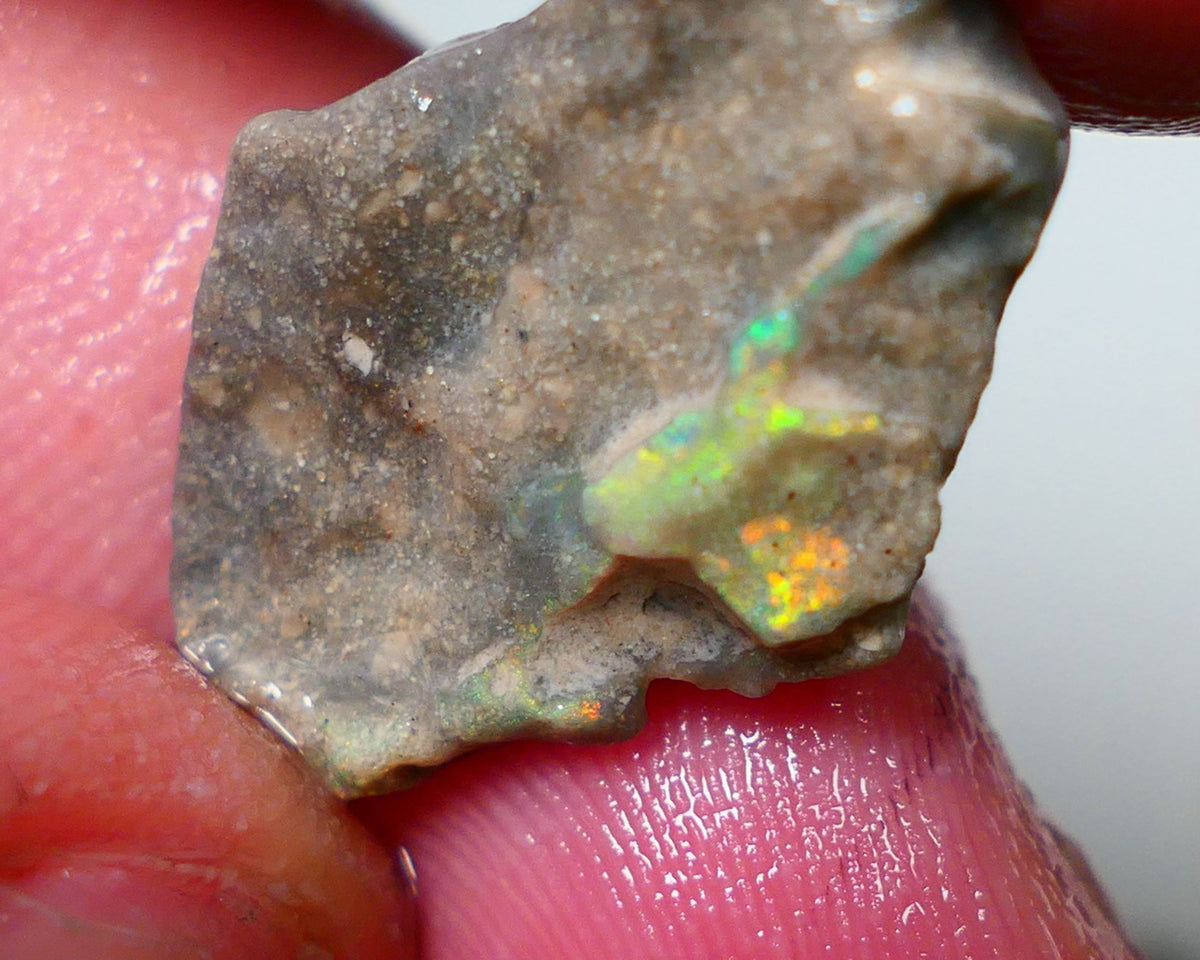 Lightning Ridge Rough Opal 8.25cts Dark Base Seam Gorgeous Zone of Bright Yellows to gamble 24x13x4mm NS317