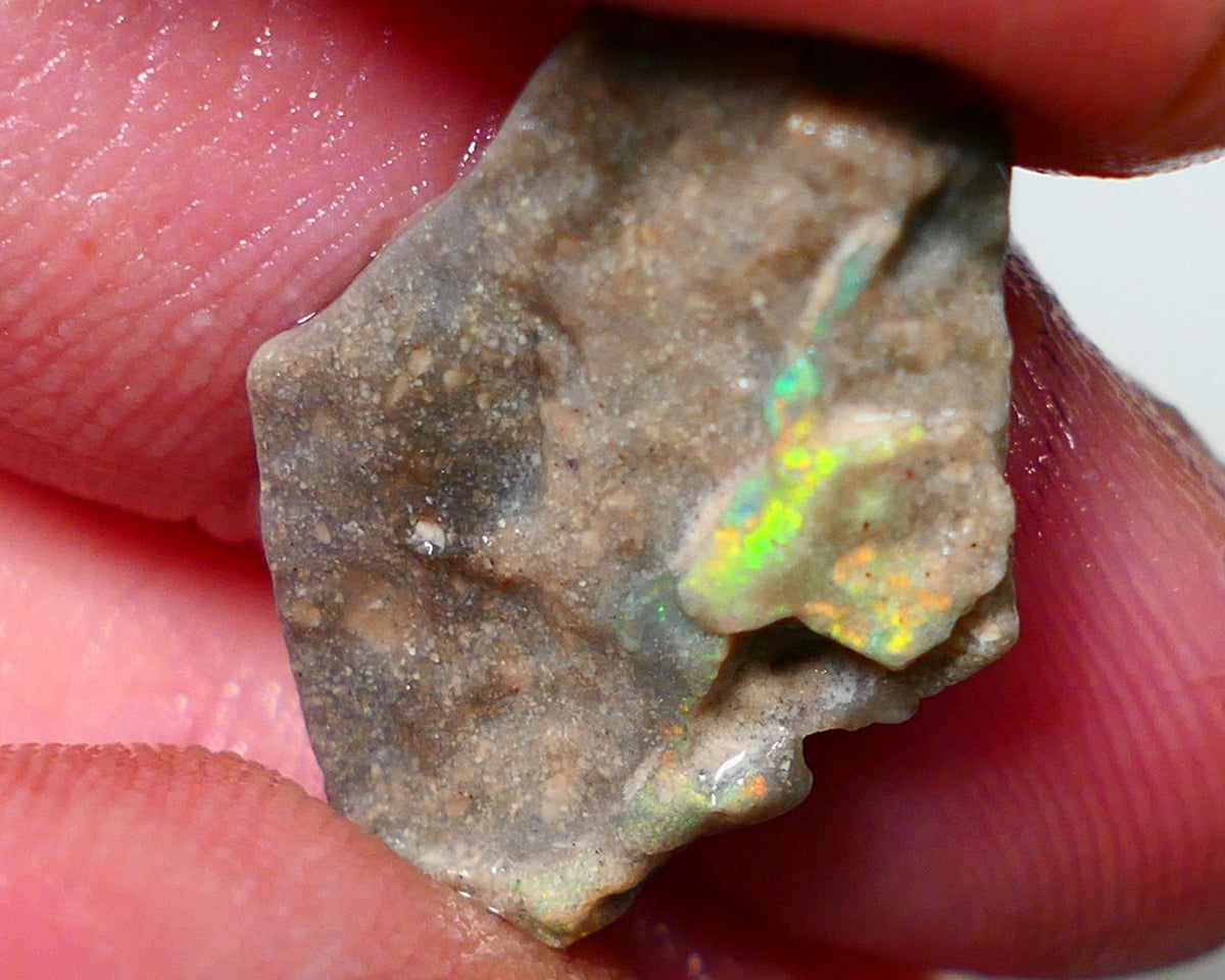 Lightning Ridge Rough Opal 8.25cts Dark Base Seam Gorgeous Zone of Bright Yellows to gamble 24x13x4mm NS317