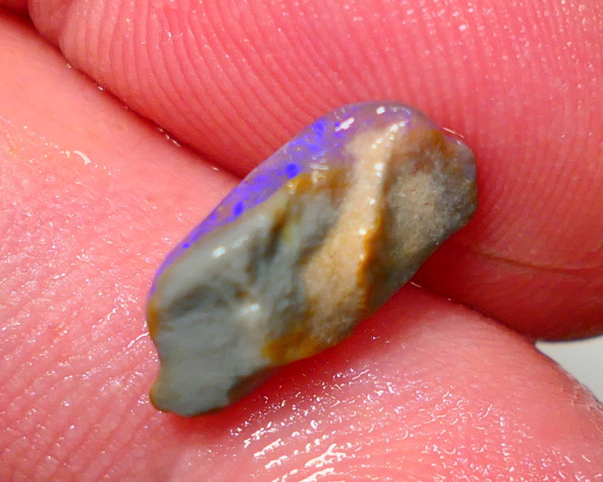 Lightning Ridge Rough Opal 2.35cts Dark Base Seam Bright Gorgeous Blue Bar to Cut 14x6x4mm NS316