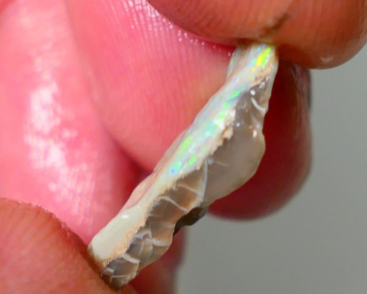 Lightning Ridge Rough Opal 5.00cts Dark Crystal Seam showing Green/Orange Dominant colours 20x11x4mm NS343