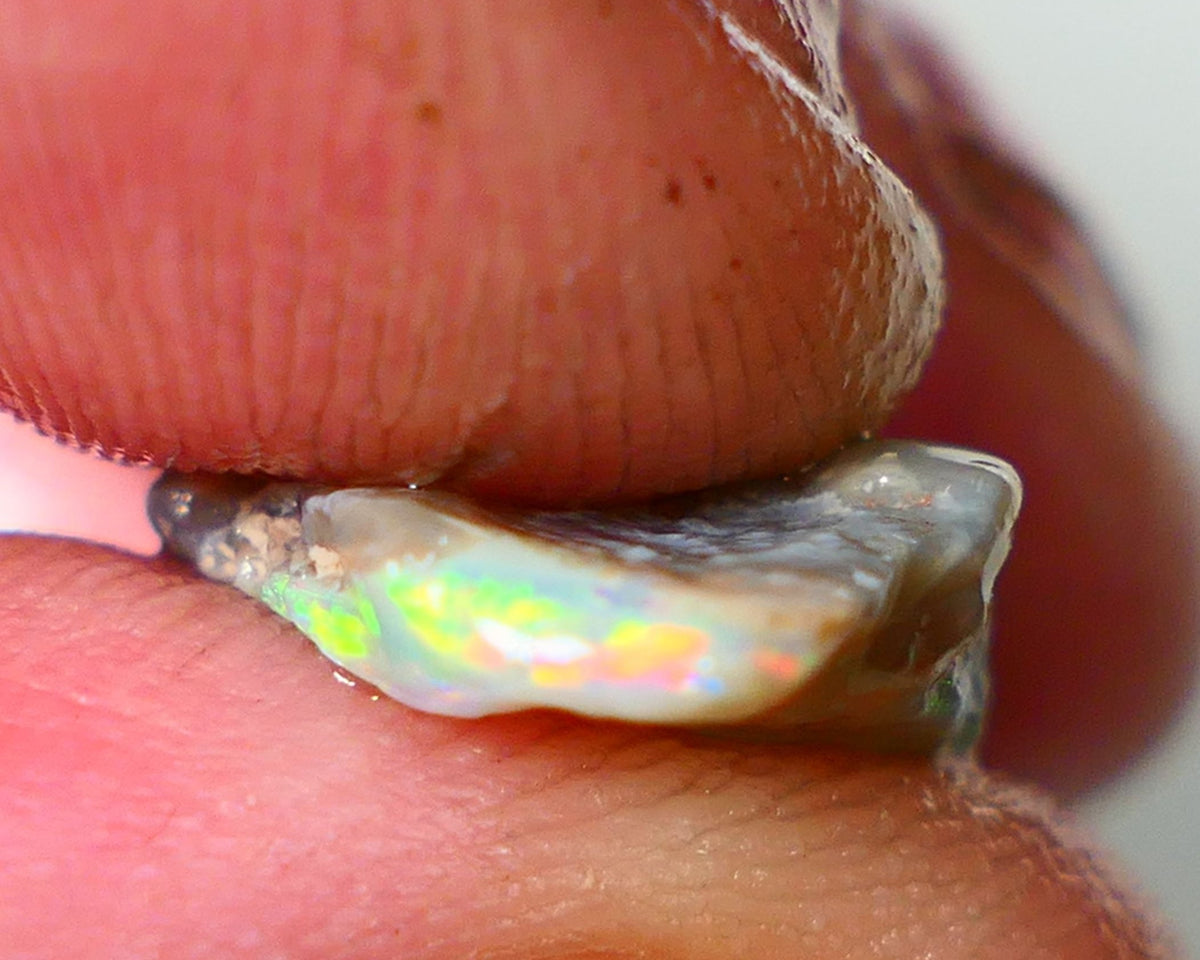 Lightning Ridge Rough Opal 5.00cts Dark Crystal Seam showing Green/Orange Dominant colours 20x11x4mm NS343