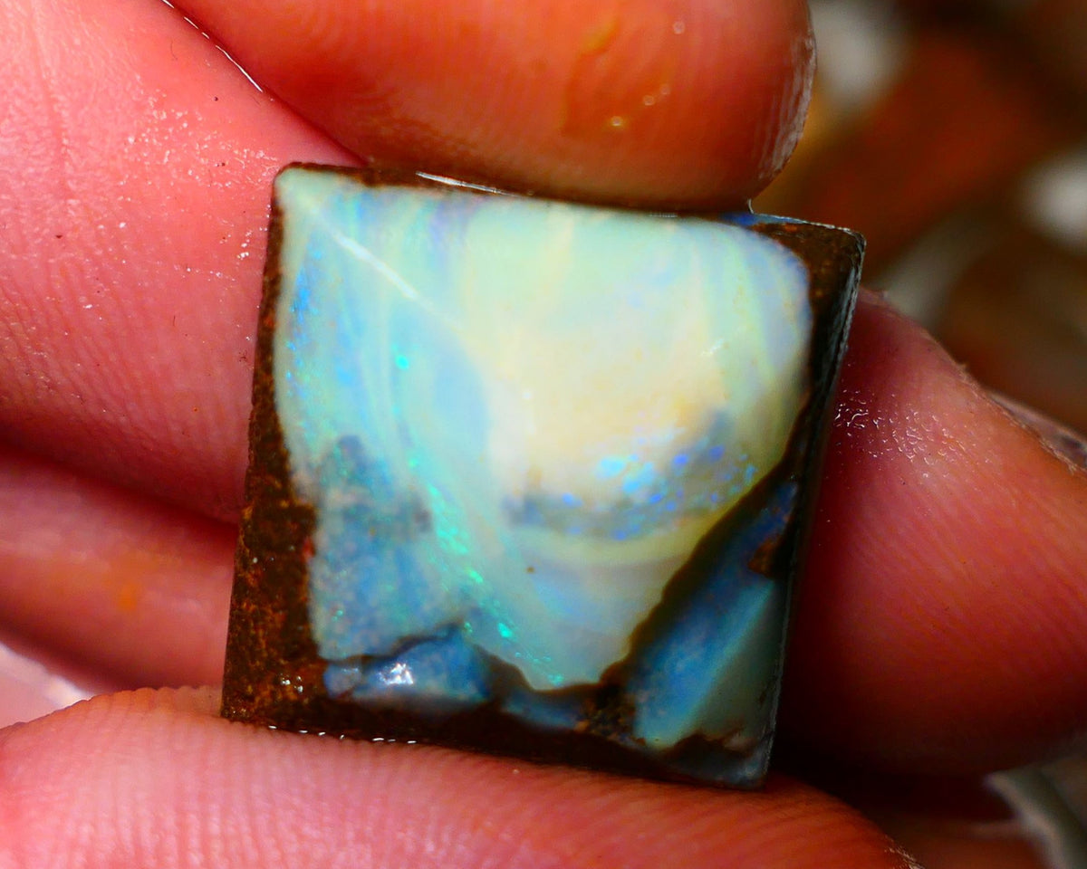 Queensland Boulder / Matrix opal 21cts rough/rub Winton Some Blue fires showing 19x19x7mm  ALP004