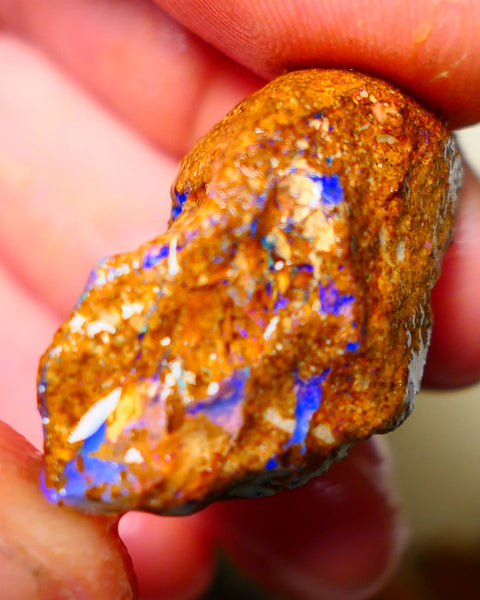 Queensland Sandy Ironstone Boulder opal nodule Showing lots of Bright Blue colours ALP0