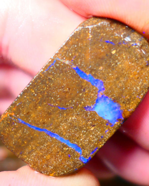 Queensland Boulder / Matrix opal 55cts rough/rub Winton Lots Bright Blue fires showing in a vein 34x19x7mm ALP014