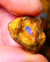 Queensland Ironstone Boulder opal nodule Showing Nice Bright Blue colours ALP0