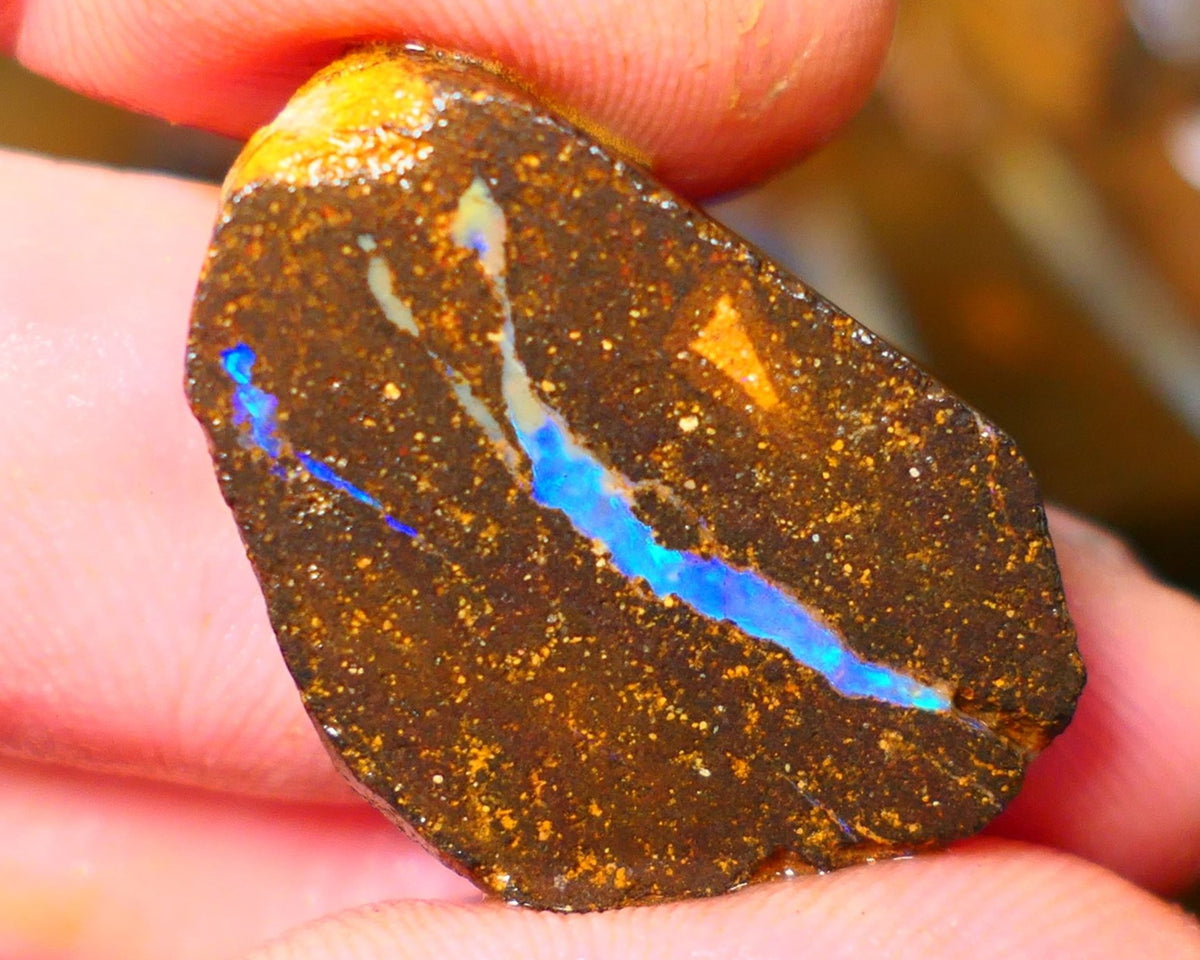 Queensland Boulder / Matrix opal 35cts rough/rub Winton Bright Green & Blue fires showing in a vein 29x20x5mm ALP012