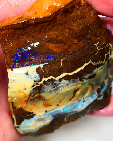 Queensland Boulder Quilpie Field Old School boulder opal large 800cts specimen with Bright colours Weekly Deal 1