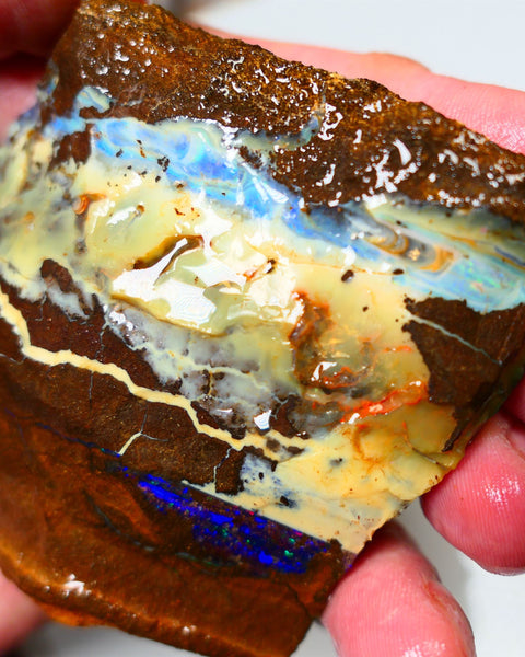 Queensland Boulder Quilpie Field Old School boulder opal large 800cts specimen with Bright colours Weekly Deal 1