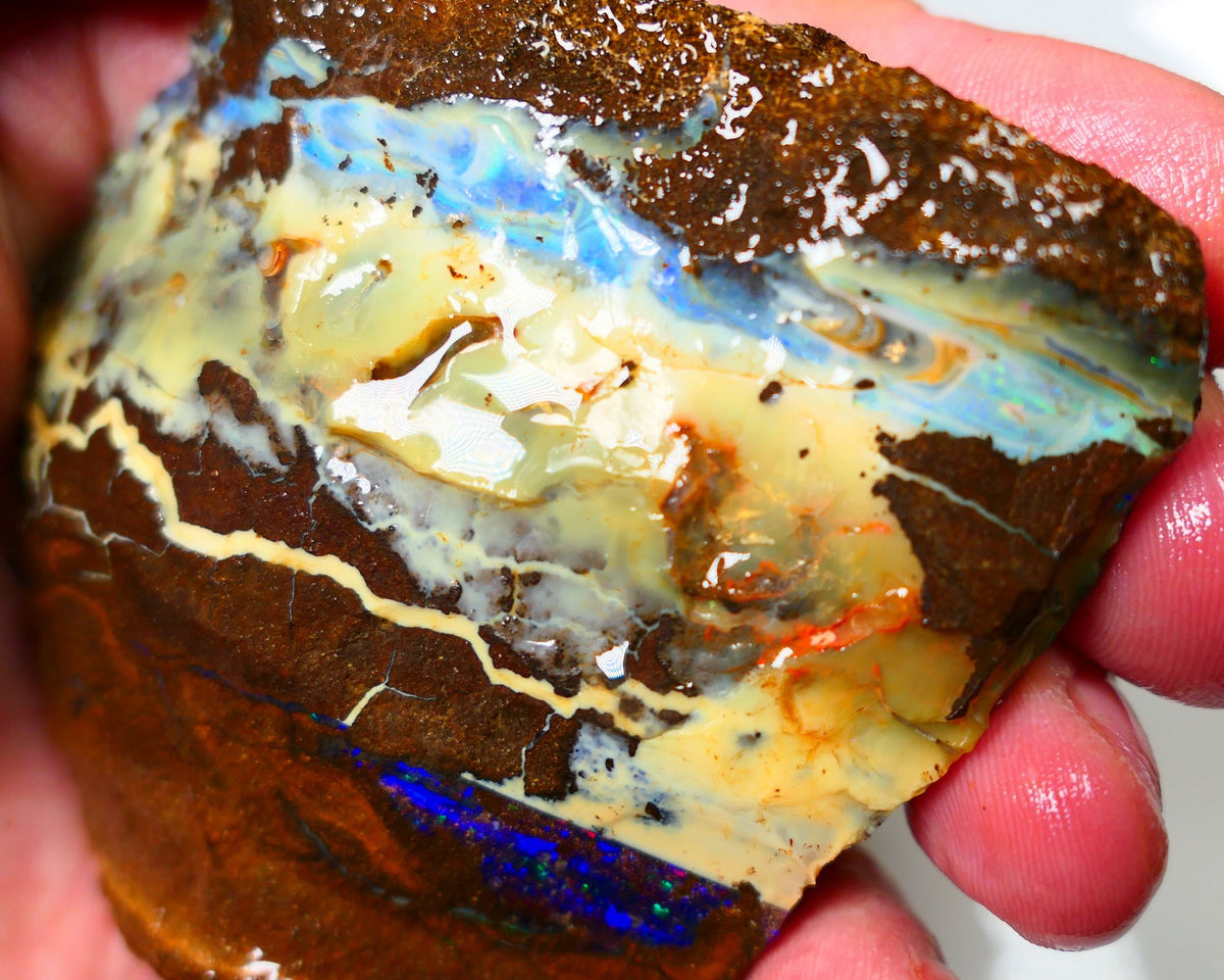 Queensland Boulder Quilpie Field Old School boulder opal large 800cts specimen with Bright colours Weekly Deal 1