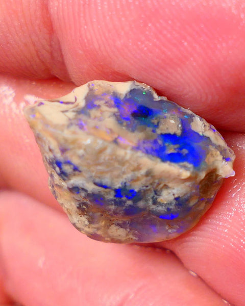 Lightning Ridge Knobby opal rough showing nice bright colours details to come 11.50cts 19x14x9mm ALP103