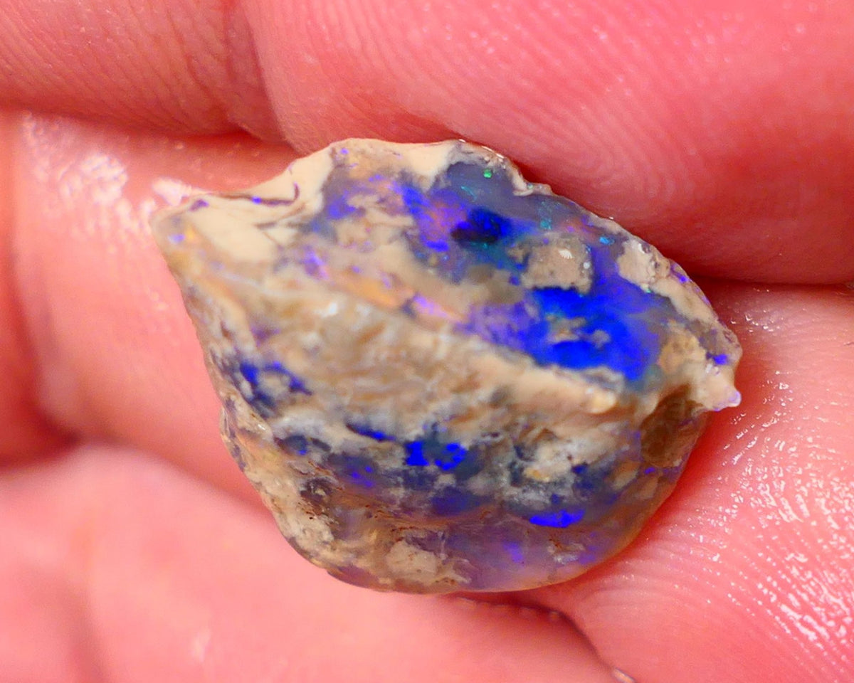 Lightning Ridge Knobby opal rough showing nice bright colours details to come 11.50cts 19x14x9mm ALP103