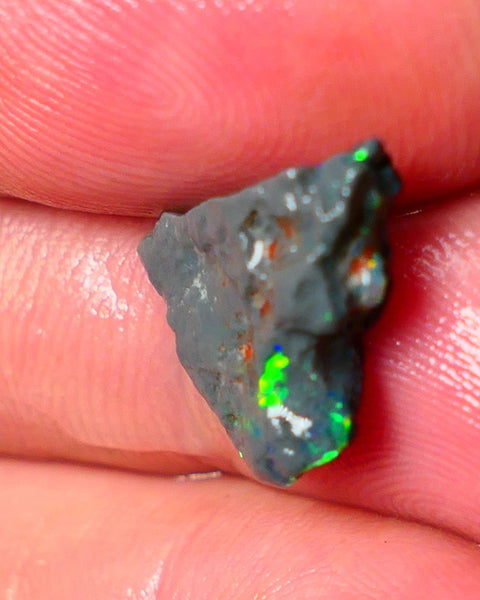 Lightning Ridge N1 Black knobby opal rough piece 3.50cts Check the video showing Nice bars with Bright Multi colours and flashes of the illusive reds 15x11x5mm  ALP125