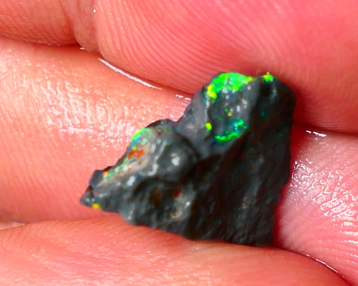 Lightning Ridge N1 Black knobby opal rough piece 3.50cts Check the video showing Nice bars with Bright Multi colours and flashes of the illusive reds 15x11x5mm  ALP125