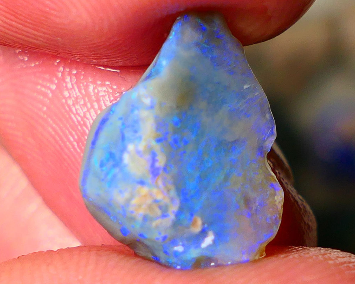 Lightning Ridge Seam opal rough 5.50cts showing nice bright blue colours 17x10x4mm ALP124