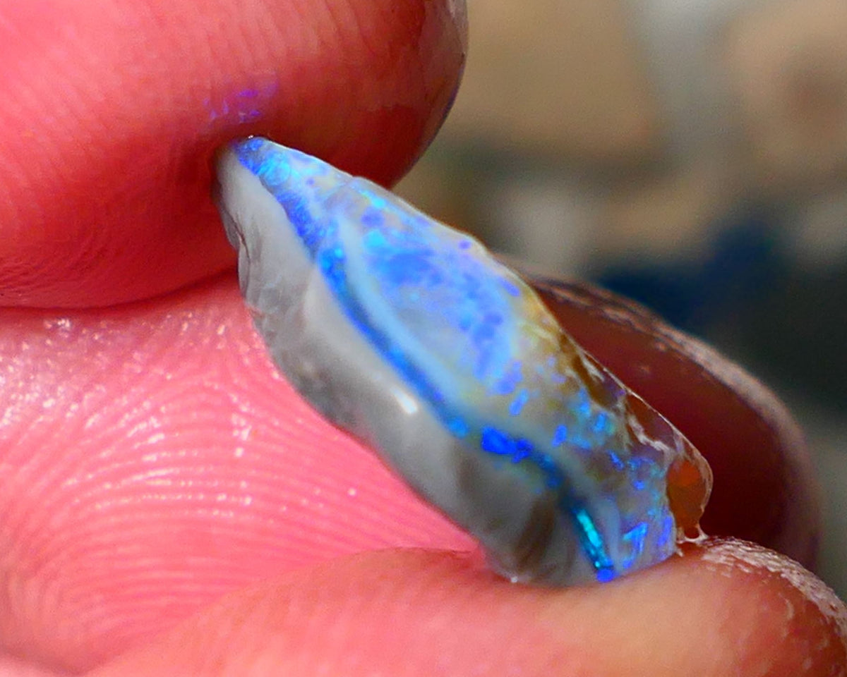 Lightning Ridge Seam opal rough 5.50cts showing nice bright blue colours 17x10x4mm ALP124