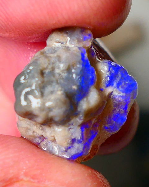 Lightning Ridge Dark Crystal Knobby opal formation rough showing nice bright blue colours 12.50cts 18x14x10mm ALP123